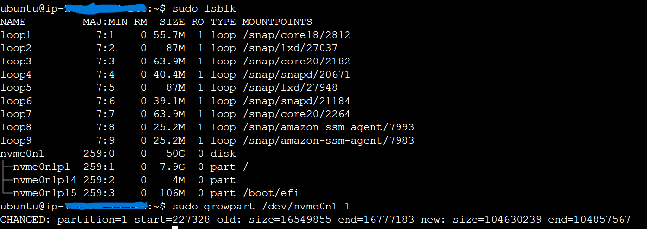 Extend file system ebs volume