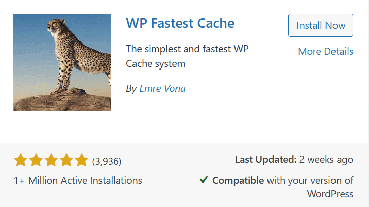 WP Fastest Cache Settings